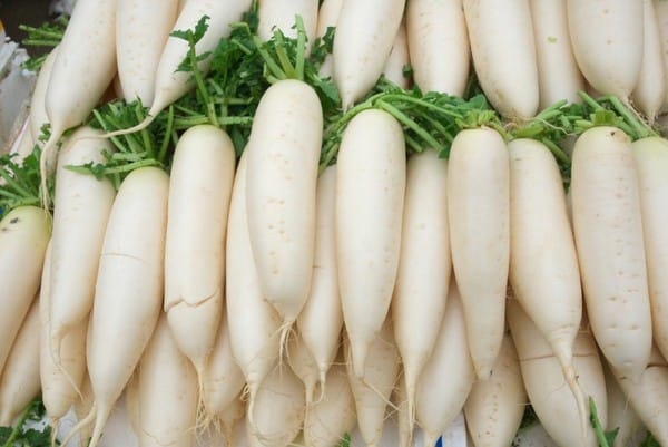 ραπανάκι daikon