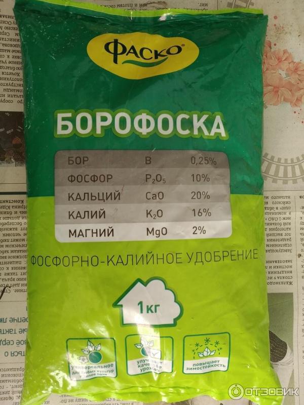 Борофоска