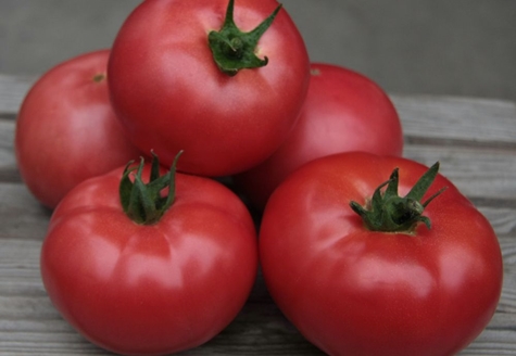 Tomatenkibo auf dem Tisch