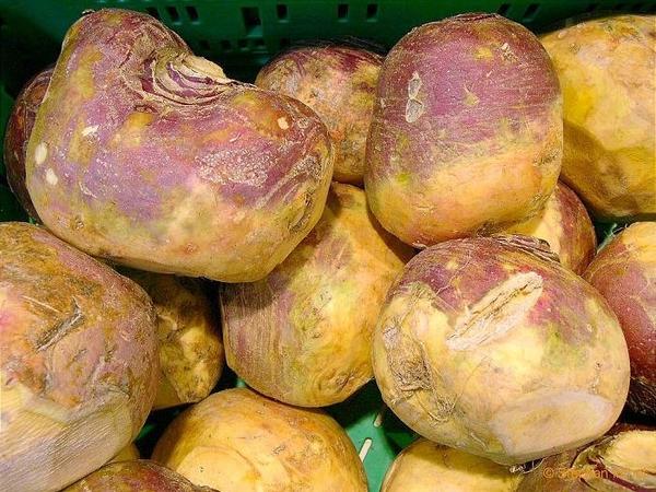 kypsä rutabaga