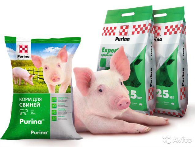 purina pour porcs