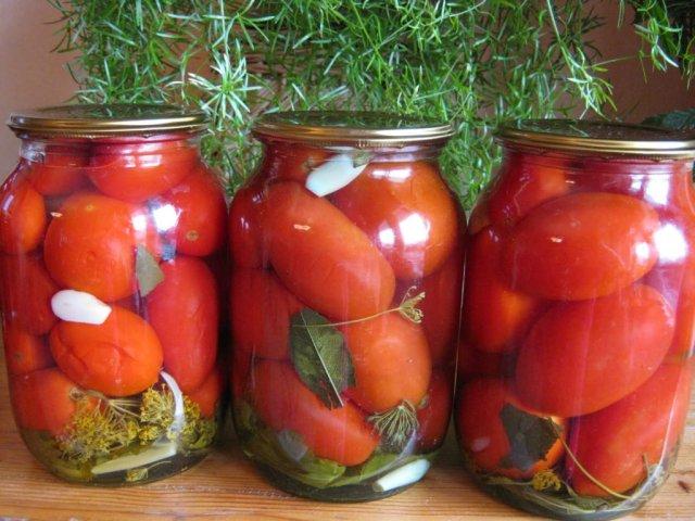 solená rajčata 