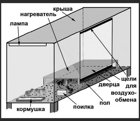 DIY verébhawk