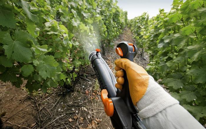 aplicação de fungicida em primeira pessoa