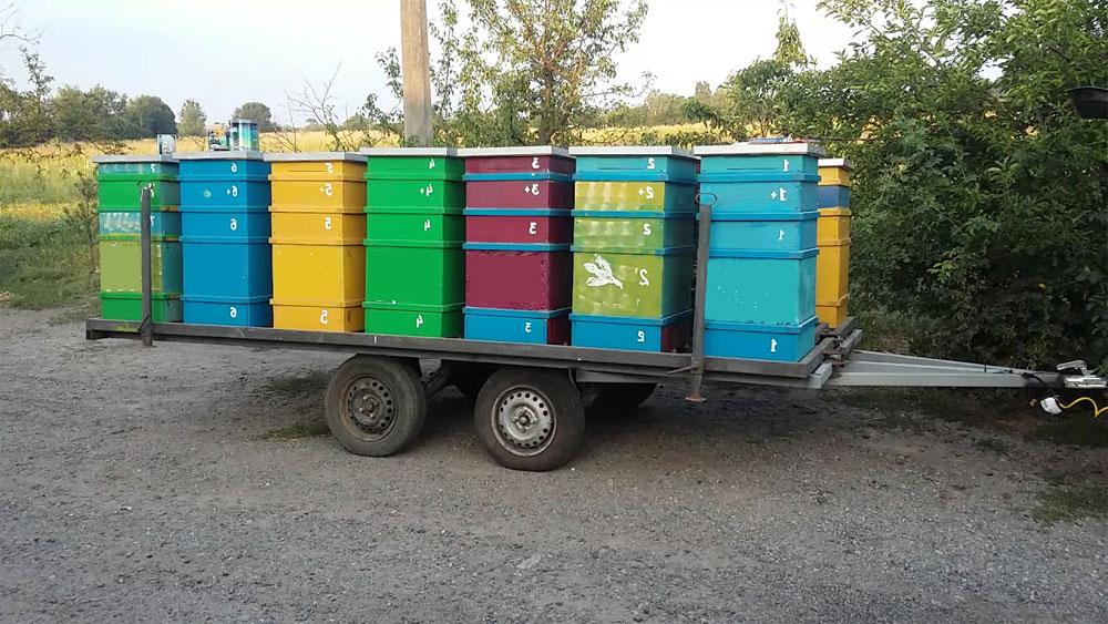 transport d'abeilles