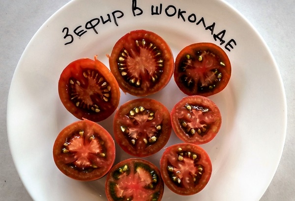 Tomato Zephyr in chocolate on a plate