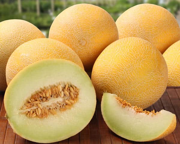 melones ananāss 