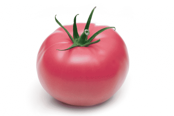 pink angel tomato appearance