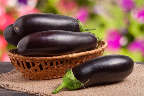 aubergine på bordet 