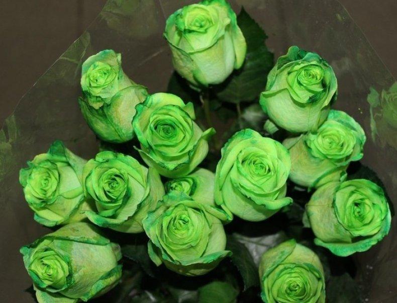 green roses Greensleeves