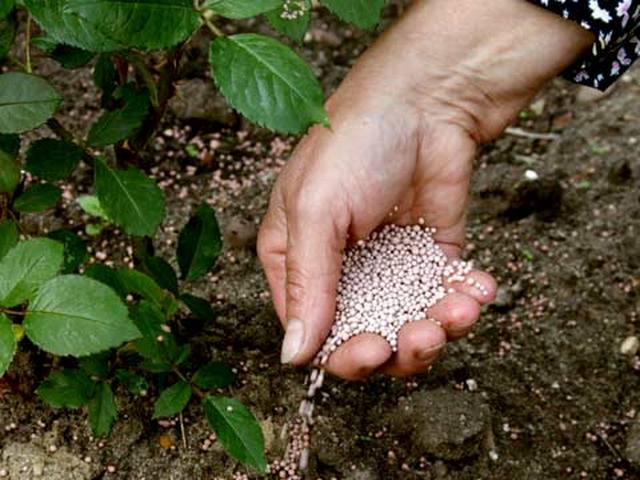 fertilizante de tomate