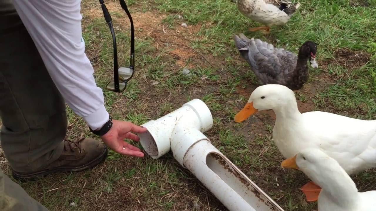 Alimentadores de tuberías de alcantarillado.