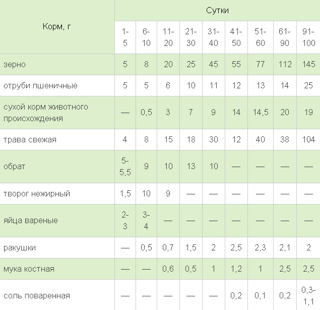 услови за узгој ћурки код куће