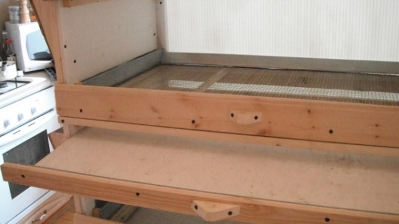 quail brooder