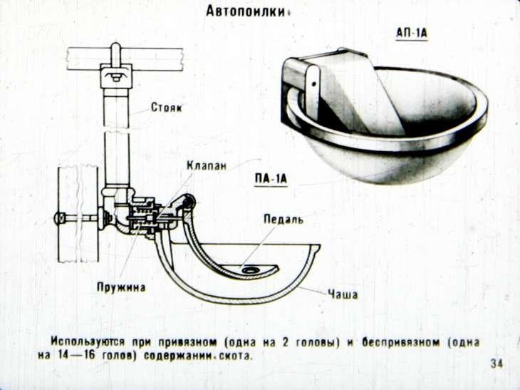 napajalniki za krave