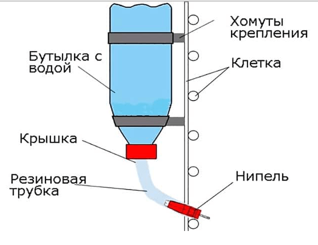 DIY μπολ νερού για παπάκια