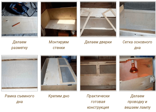 DIY zvirbuļvanags