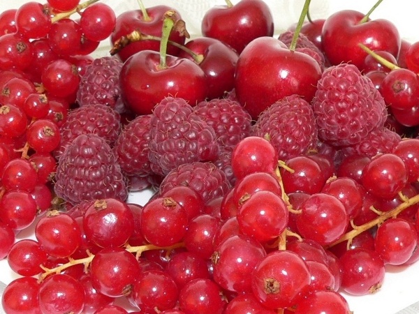 diferents fruits