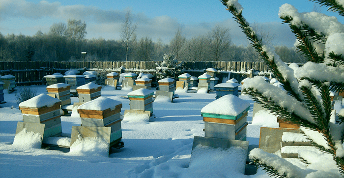 kalendář včelařů únor