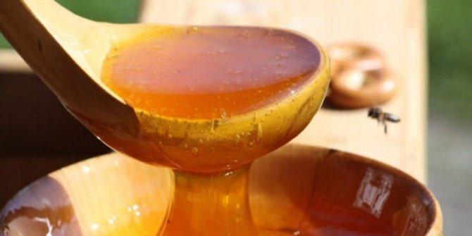 měrná hmotnost medu