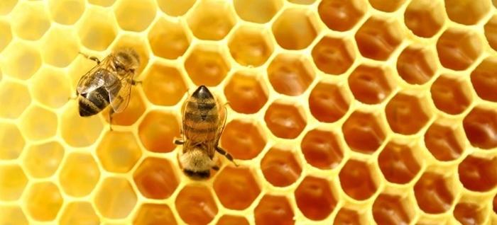 vitamíny v medu
