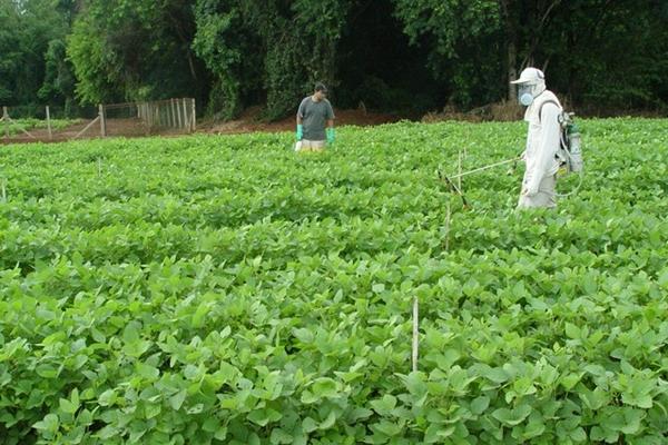 herbicide snelle stap