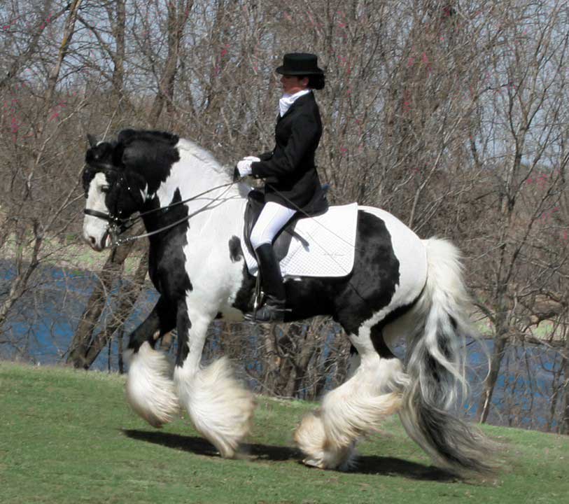 knutselen paard en mens