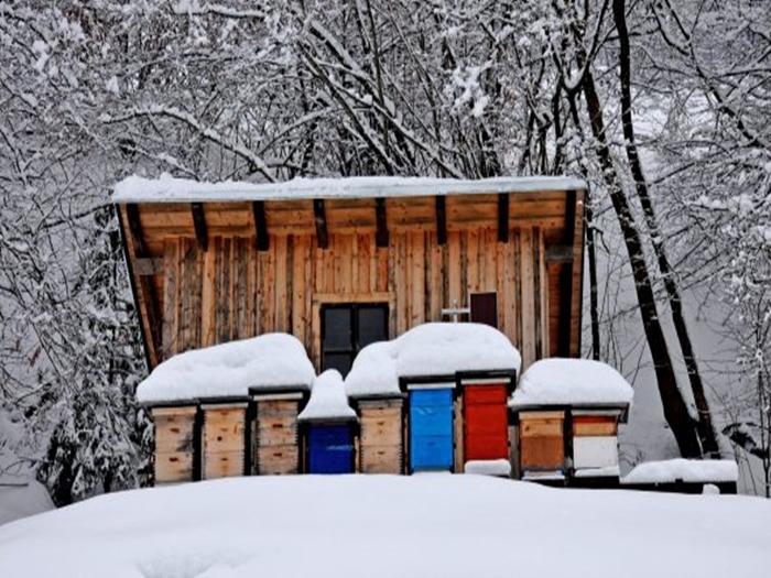 Winterschlafraum für Bienen