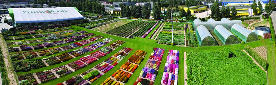 Russischer Gemüsegarten