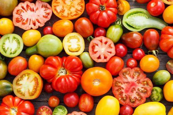 différentes variétés de tomates 