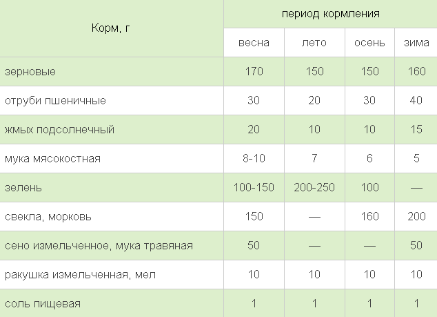 conditions pour élever des dindes à la maison