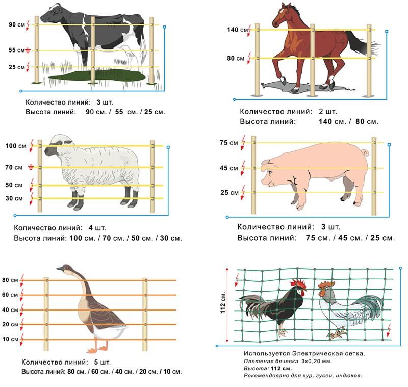 Alturas de linha para diferentes animais e pássaros