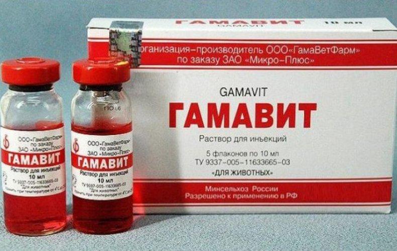 gamavit trušiem