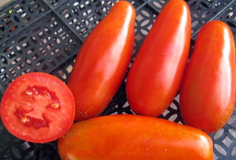 tomato Mamin Sibiryak on the table