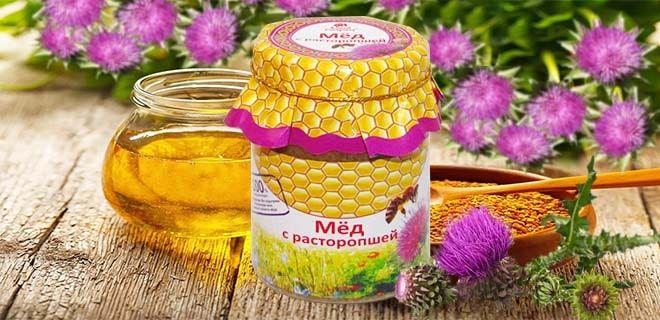 мед од млечног чичка