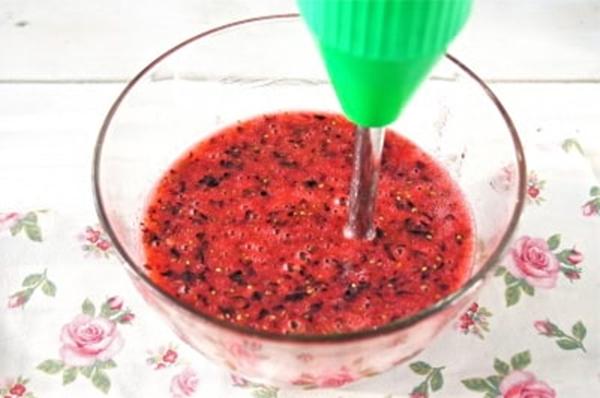 currants pureed sa blender