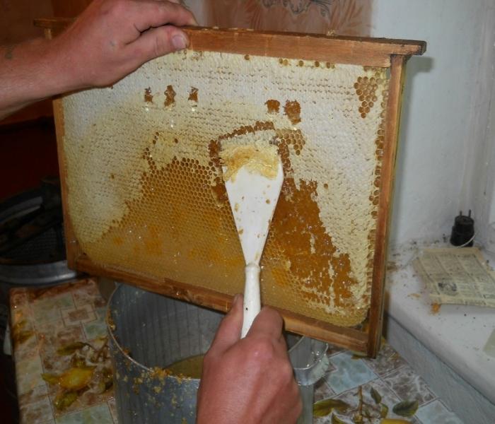 odčerpávání medu