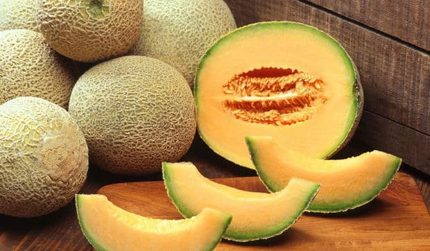 Altai melon