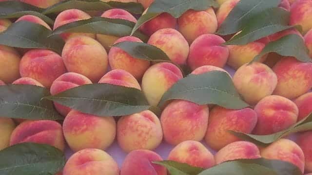 storage of peaches