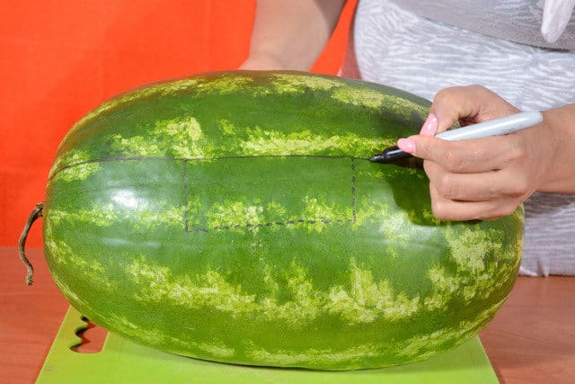 Wassermelone Peking Freude