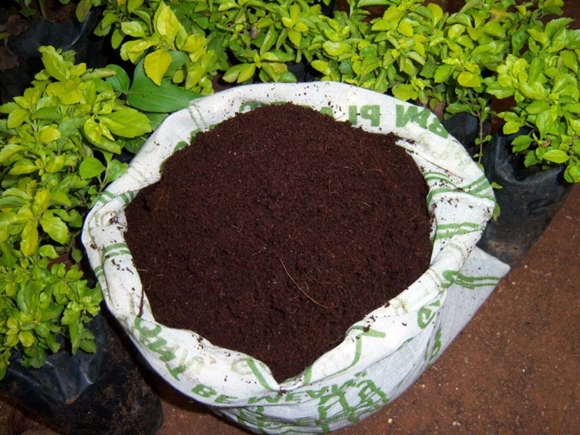 peat in a bag