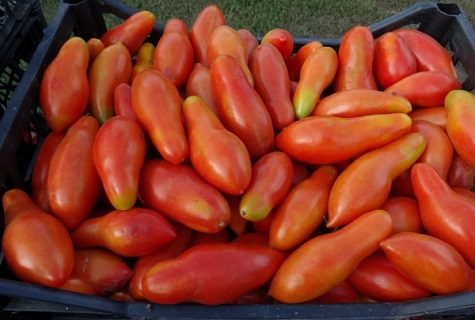 caja llena de tomates