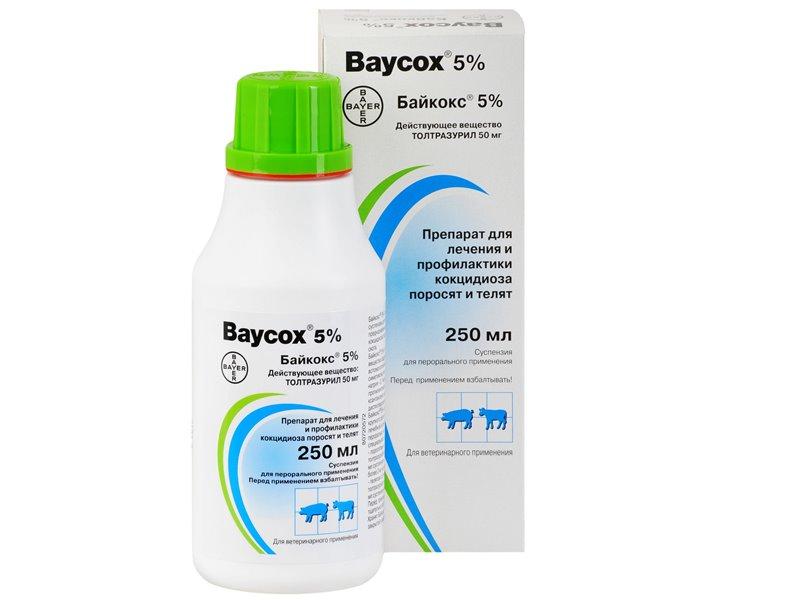 baybox για κουνέλια