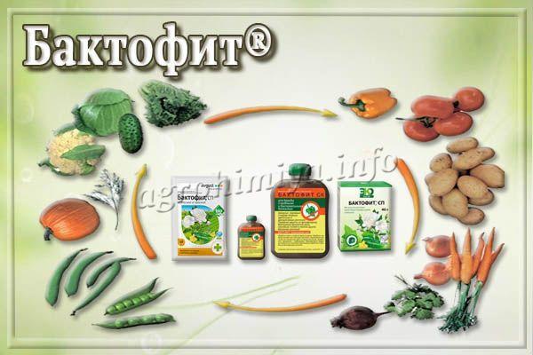 Baktofit fungicide