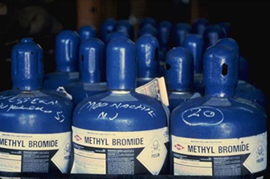 Methyl bromide