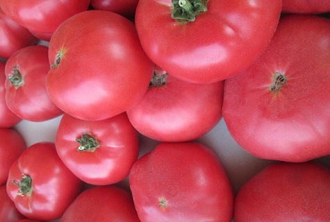 Tomaten zur Auswahl 