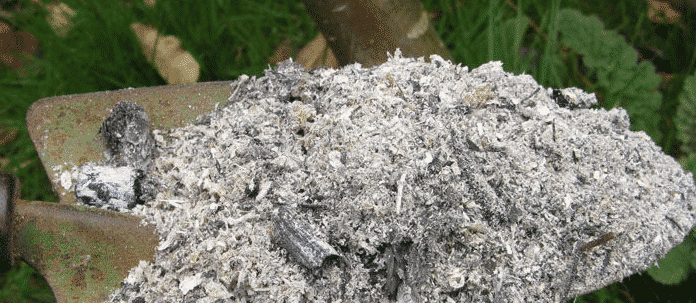 ash on a shovel