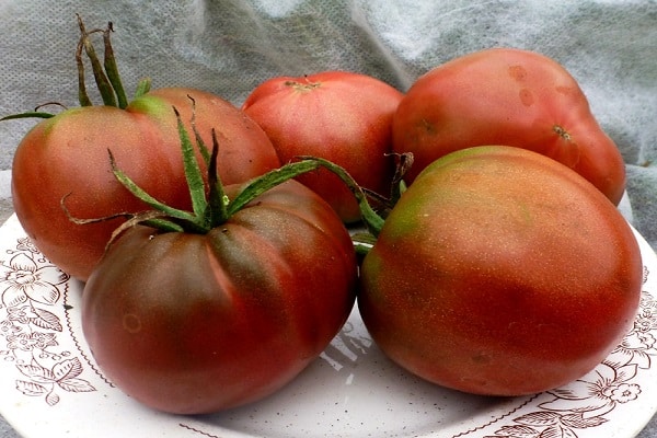 Tomate Chernomor