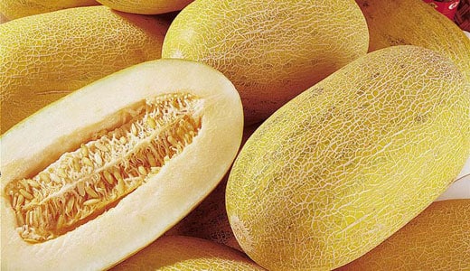 Varavīksnes melone