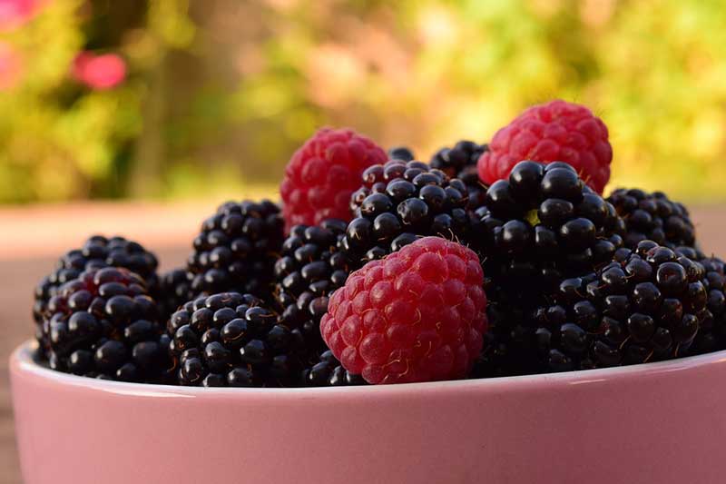 Himbeeren in einer Schüssel